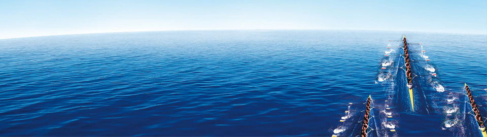 �������a����������ѿع���